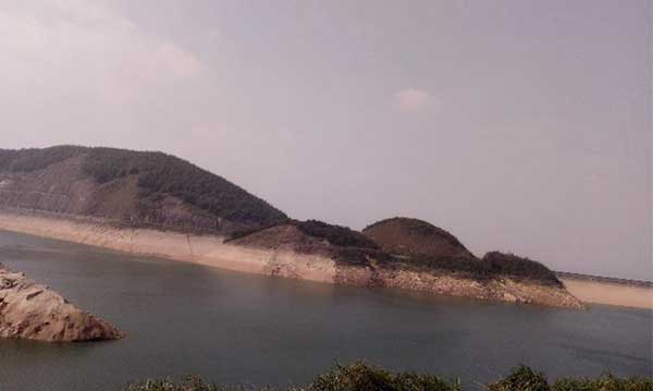 黑麋峰峰頂 綠樹蔥蔥，空氣都是甜的