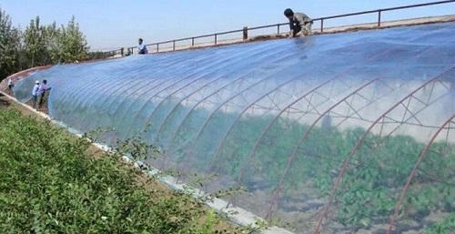 大棚吹膜用哪種增白劑？